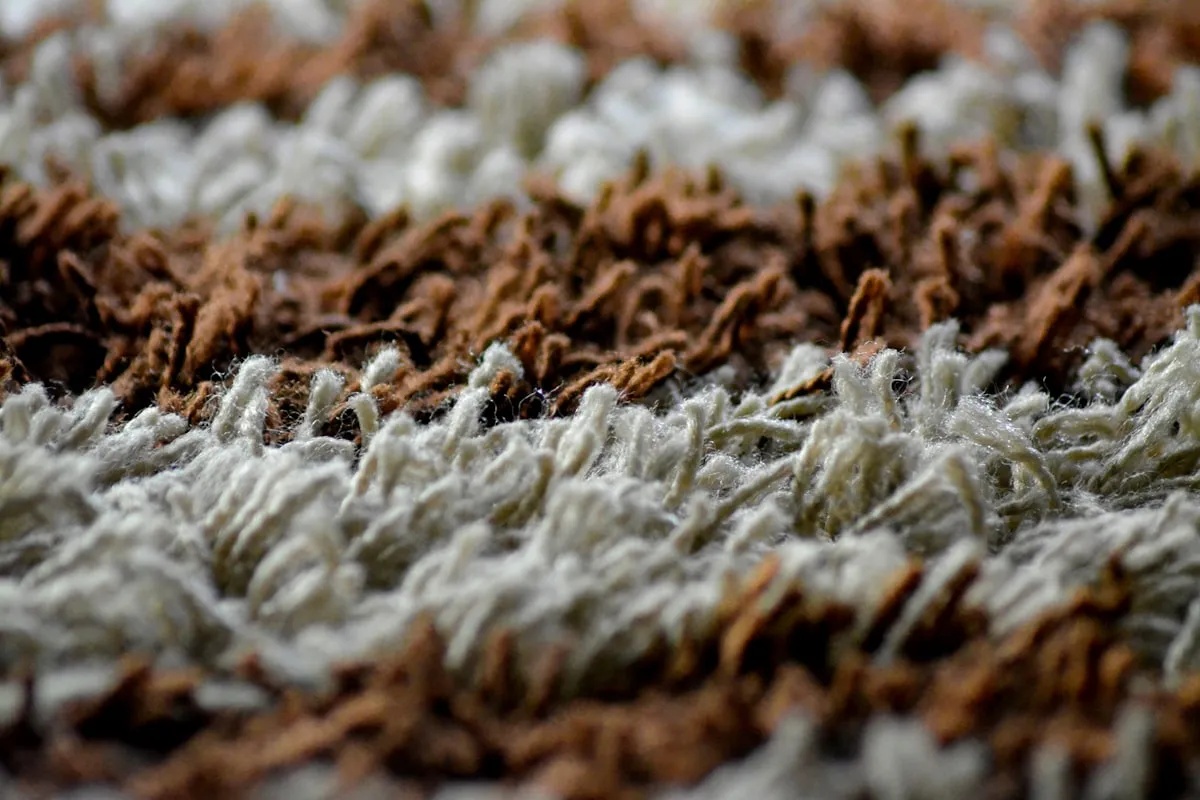 Extreme close-up of a shag wool rug's pile, showing rows of cream and brown wool tufts in alternating bands of texture.