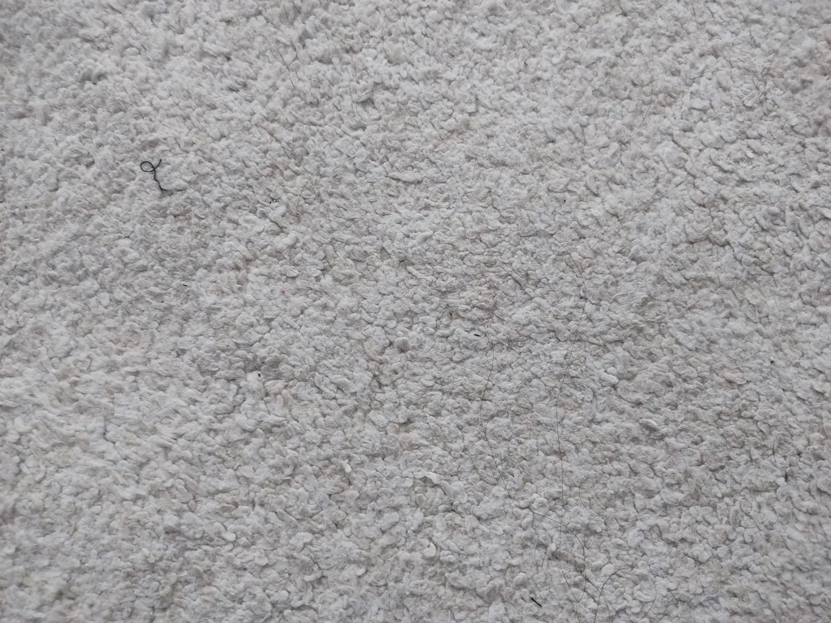 Close-up of a light grey plush carpet pile, evenly textured with a few loose fibres visible on the surface.
