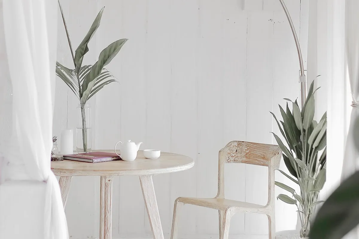 Whitewashed wood chair and round side table styled with plants in a sunlit corner