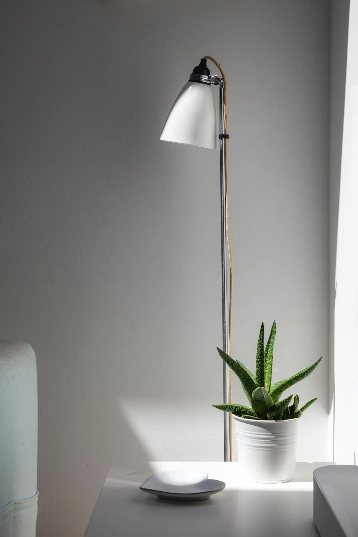 A slender pole floor lamp with a white conical shade, standing beside a potted succulent on a sunlit nightstand.